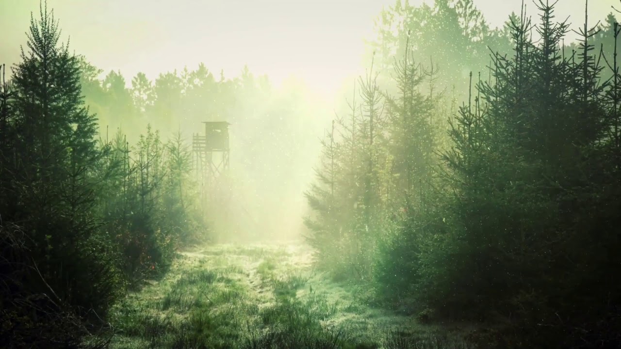 Виталий Русавук Там в вышине бесконечной Христианская Песня - YouTube