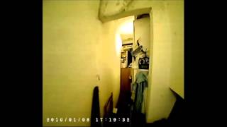 Quattrovolante Baby - The king of the basement
