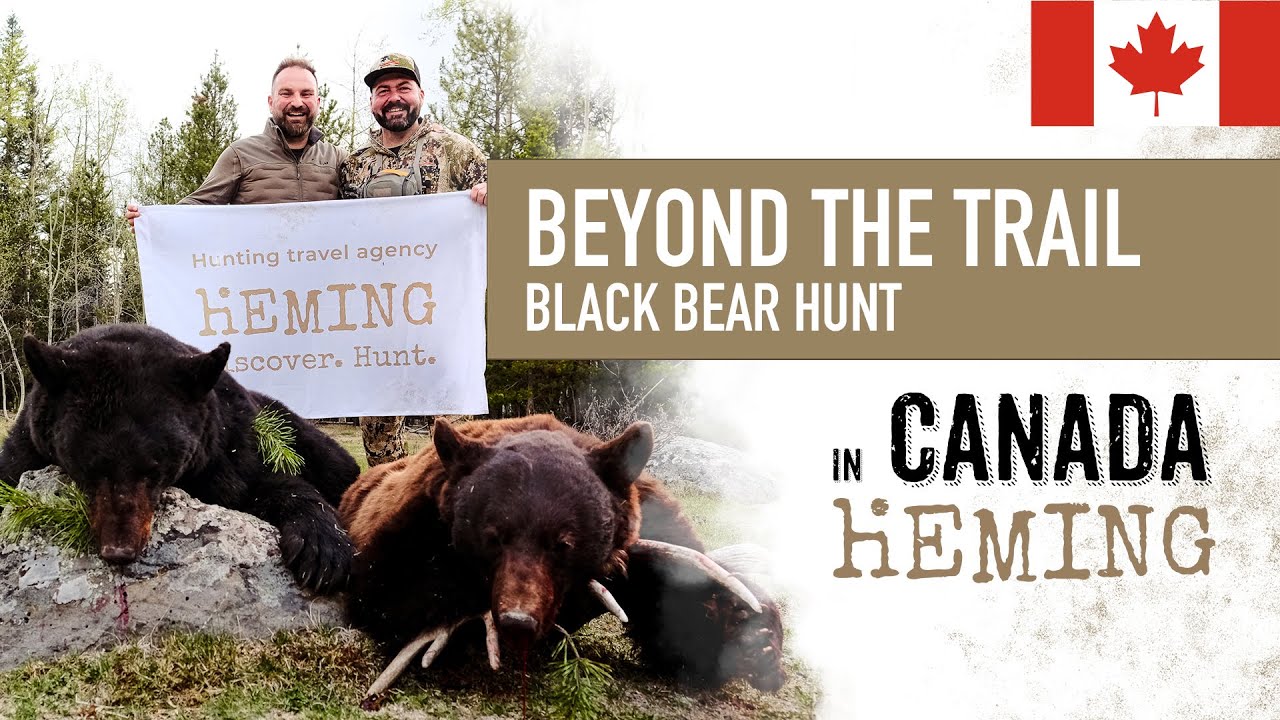 Охота на чёрного медведя в Британской Колумбии 🇨🇦 | Полный приключенческий фильм