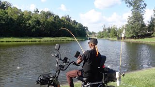 I Caught Monster 😱Bream Until I Ran Out Of Crickets 🔥
