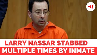 Who Is Larry Nassar' Ex-Wife Stephanie | Larry Nassar Attacked In Prison By Another Inmate