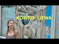 „Kowno jakiego nie znasz – ogromny kolorowy słoń i targ 😨[Bałtycka przygoda 4]” 