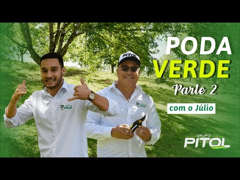 Vídeo: As nogueiras precisam de poda - Aprenda quando e como podar as nozes