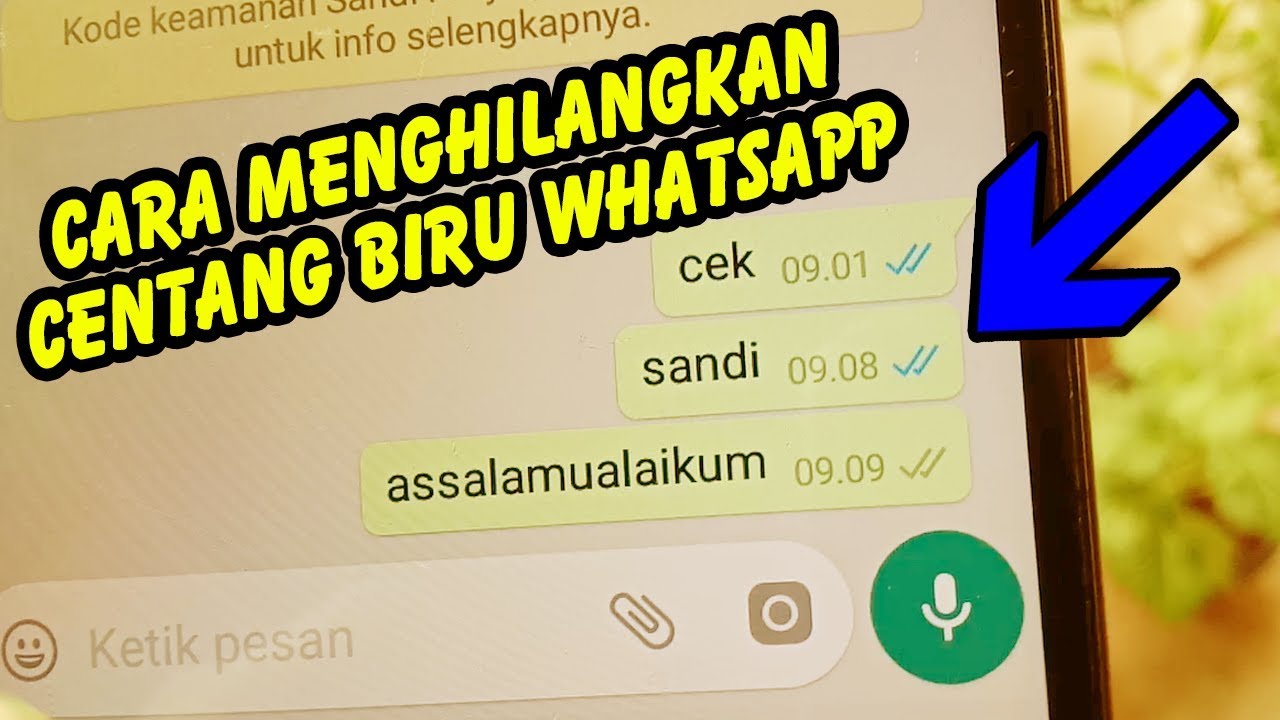 Cara Menghilangkan Centang Biru Di Whatsapp - Youtube