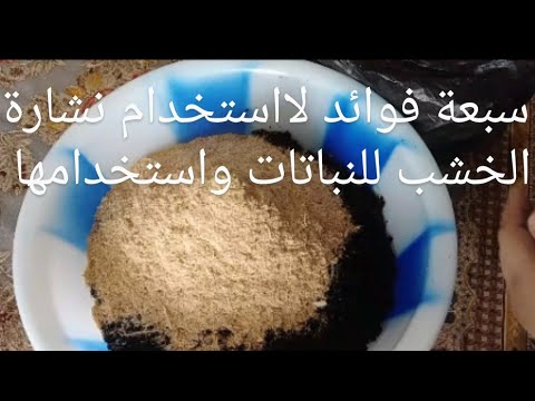 فيديو: استخدام النشارة لتغذية النبات