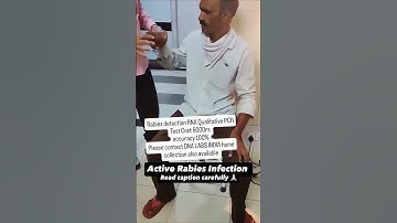 😱 Dog Bite & Rabies: What Happens If You Don