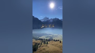 واتس اب قران كريم القارئ اسلام صبحي (سوره الليل)