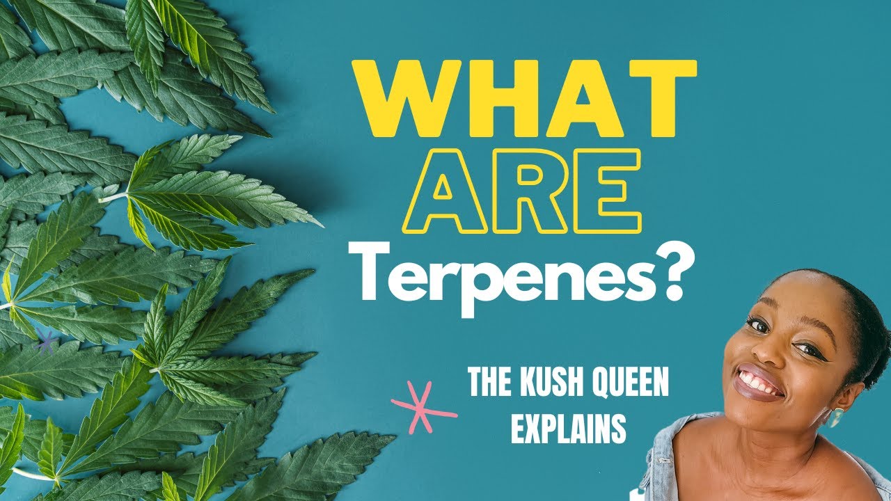 Terpenes  - The Kush Queen