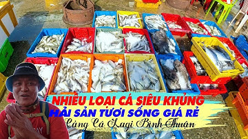 NGẬP TRÀN CÁ SIÊU KHỦNG, CẢNG LAGI BÌNH THUẬN LÂM ĐỒNG | HẢI SẢN TƯƠI SỐNG
