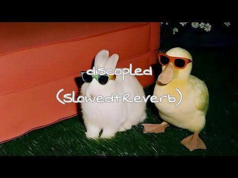 discopled - Zachz Winner, maxwell4k, & springs! (Slowed+Reverb)