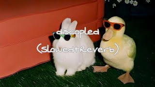 Discopled  Zachz Winner Maxwell4k U0026 Springs slowedreverb