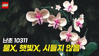 시들지 않는 꽃 2탄!! 레고 2022 신제품 난초 10311 언박싱 리뷰