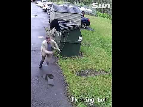 Scare bear! Principle jumps out his skin as BEAR leaps from trash #shorts.