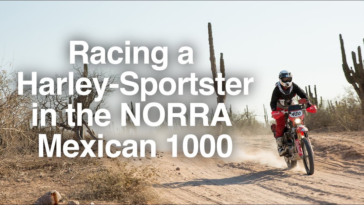 Racing a Harley Sportster in the NORRA Mexican 1000