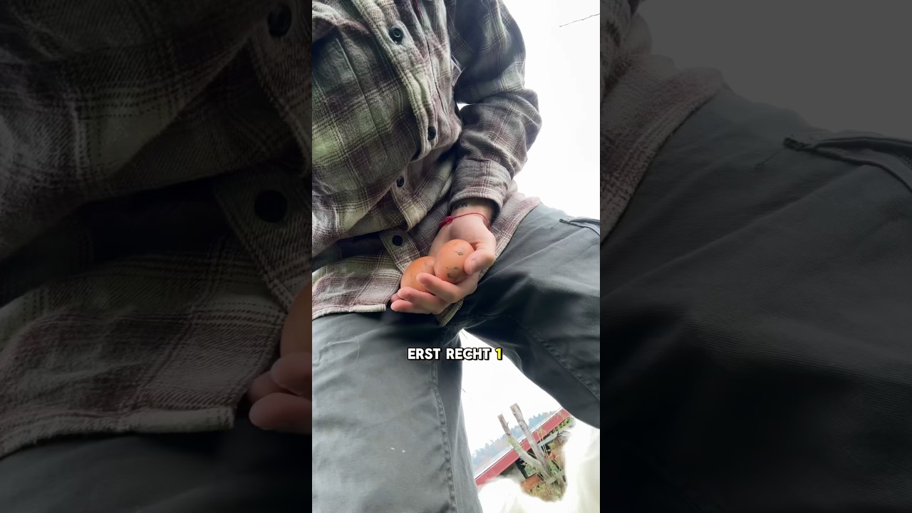 Warum du angesch💩ne Eier nicht waschen sollst😨🥚 