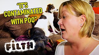 Hoarders Home Covered in Dog Faeces and Wee | Obsessive Compulsive Cleaners | Episode 23 | Filth