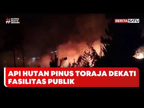 Hutan Pinus Toraja Terbakar, Api Dekati Sekolah dan Akses Bandara