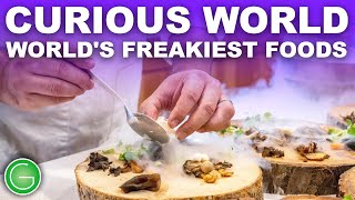 Curious World (2001) | World's Freakiest Foods | S1 E05
