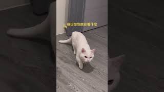 2023100403 歐巴看見弟弟饋咖😆