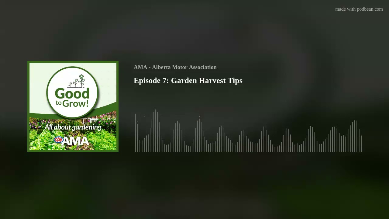 Good to Grow Podcast Episode 7: Garden Harvest Tips