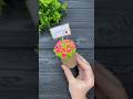 Easy DIY Paper Flower Gift Ideas 🌸
