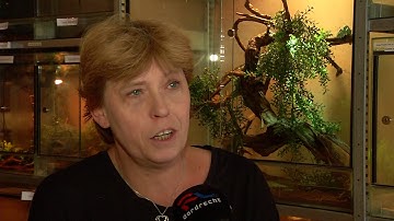 Reptilhouse sluit deuren