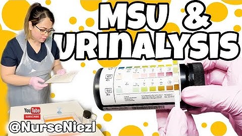 MSU & URINALYSIS : NMC OSCE 🇬🇧 #nurseniezl #niezl2023