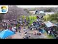 Drone footage take our border back 4k usa convoy to texas