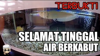 Susunan Filter Aquarium Yang Baik Dan Benar