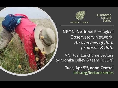 Lunchtime Lecture: National Ecological Observatory Network: An overview of flora protocols and data