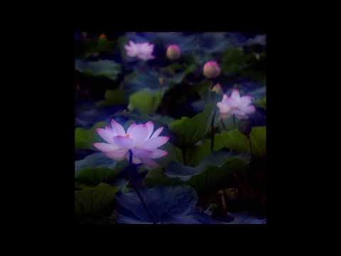 4n Way - leaky leaks 5 (slowed + reverb)