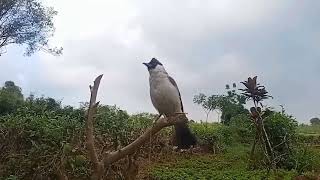 Masih Beradab Tasi Dengan Lingkungan