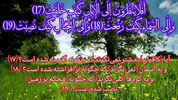 سوره غاشیه: "روزی که چهره‌ها فرو می‌افتند"  "آیینه‌ای از قیامت و خلقت"  قاری ویدیو شهریار پرهیزگار 