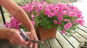 How-To Video Annual Container Maintenance