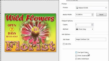 Working with Spot Colors in VinylMaster