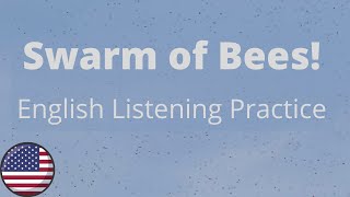Swarm of Bees (with photos) - Intermediate English Listening Practice (American Accent)