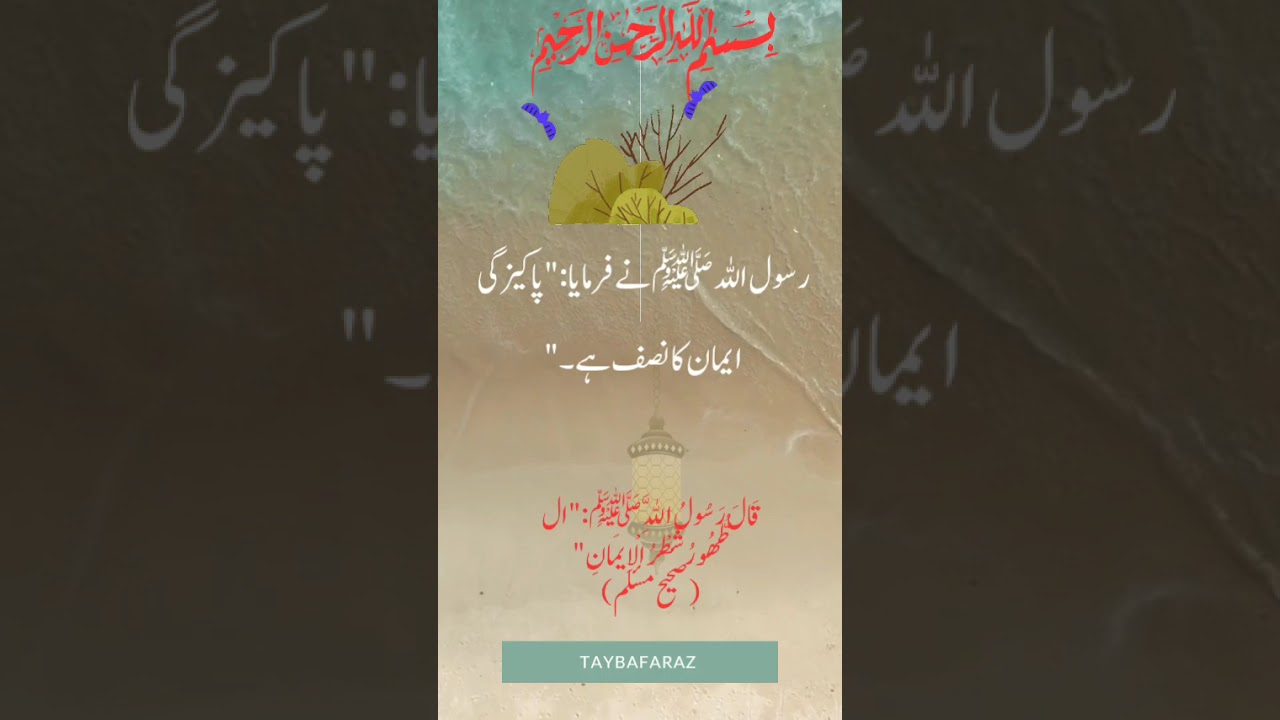 The Prophet ﷺ said: “Purity is half of faith.”