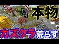 本物のカズクラのワールド荒らしたら不倫認めたwww（マインクラフト 荒らし
