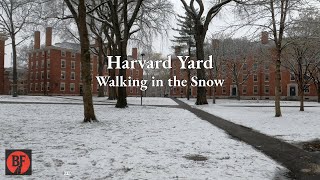 A Snowy Walk Through Harvard Yard [4K]