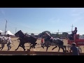 Runaway Six Draft Horse Hitch at the Walworth County Fair 2017