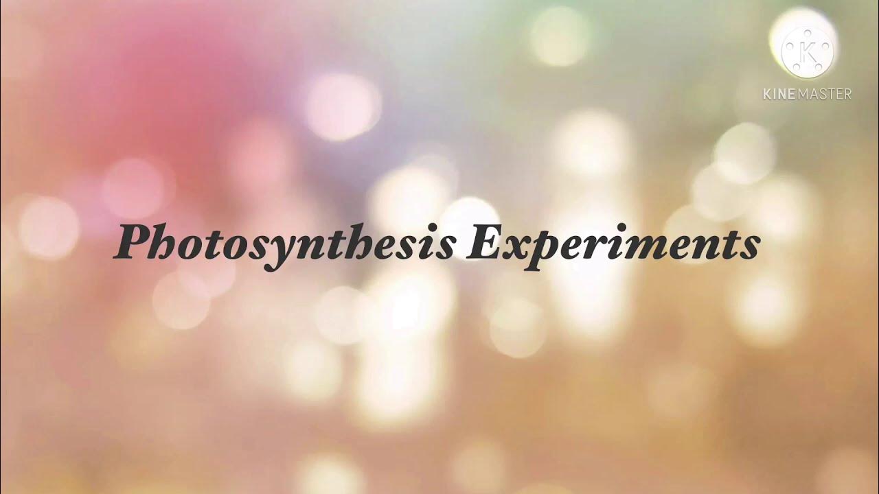 Photosynthesis Experiments Part 1 of 2 IGCSE biology YouTube