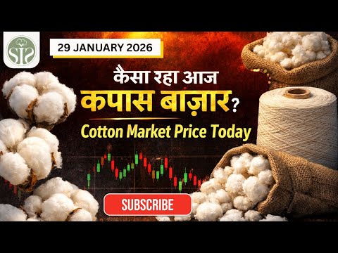 कपास बाज़ार की आज की रिपोर्ट 🧐 Cotton Market Price Update #kapas #news