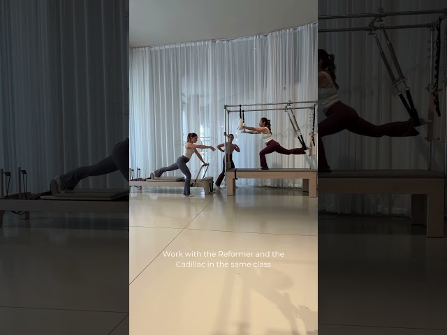 Schau doch mal heimlich in eine Reformer- und Cadillac-Flow-Stunde rein! ✨️