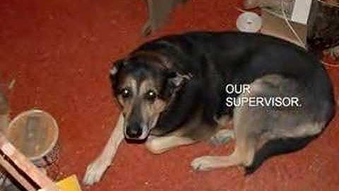 model train layout build slide show 3