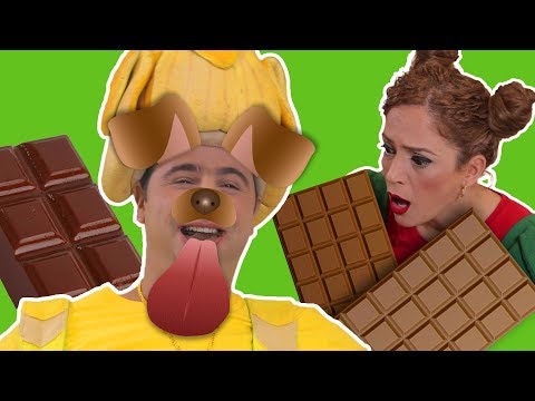 فيديو: هل يمكن للكلاب أن تأكل الشوكولاتة؟ هل يمكن للكلاب أن تموت من أكل الشوكولاتة؟