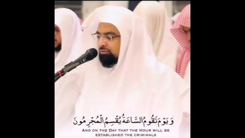 الله الذي خلقكم من ضعف | أروع حالات الواتس  الشيخ ناصر القطامي | تلاوة هادئة