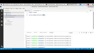 Python Random Numbers