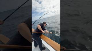Big Yellowtail on Surface Iron! Coronado Islands!