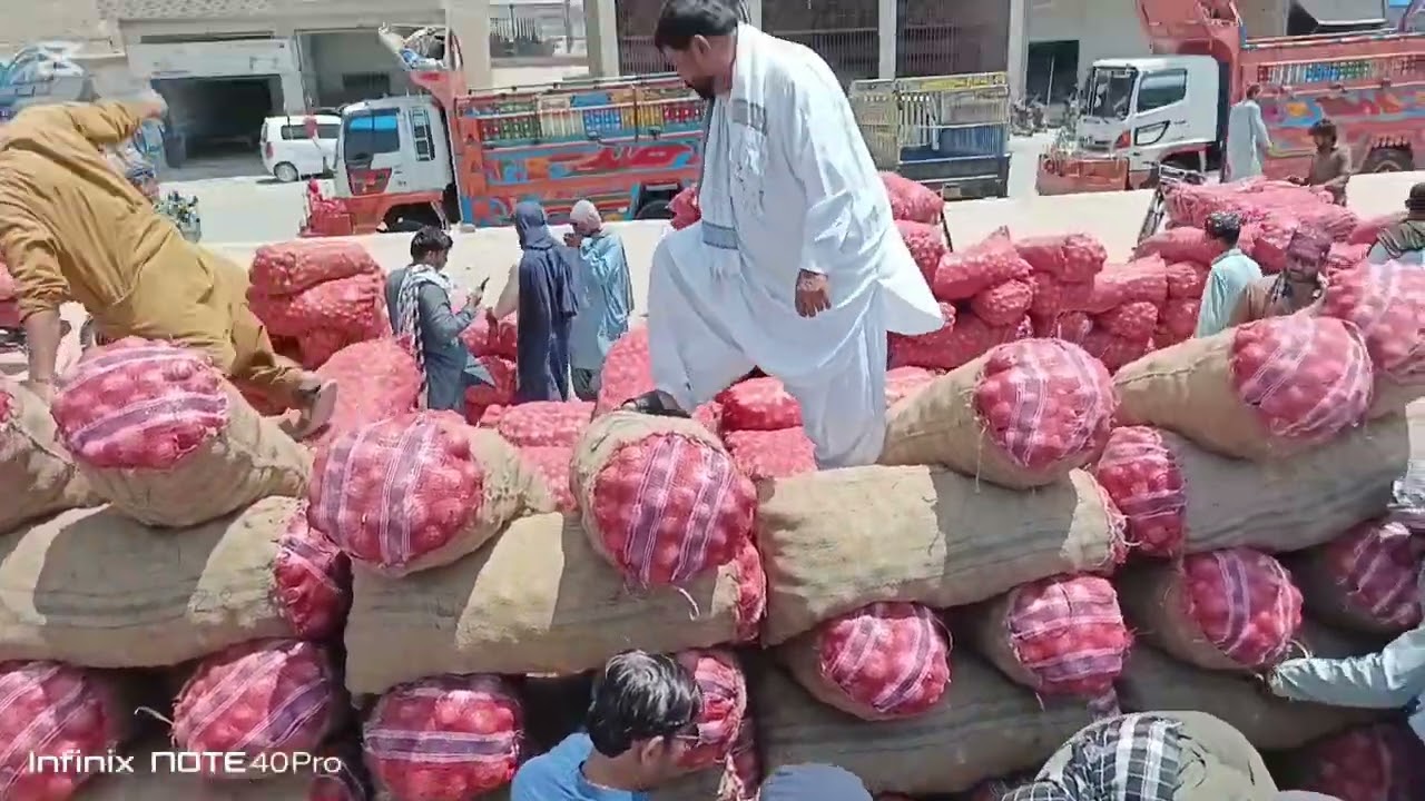 اسلام و علیکم دوستو پیاز، کی نیلامی بروز بدھ وزن 55 کلو , 23/04/2025