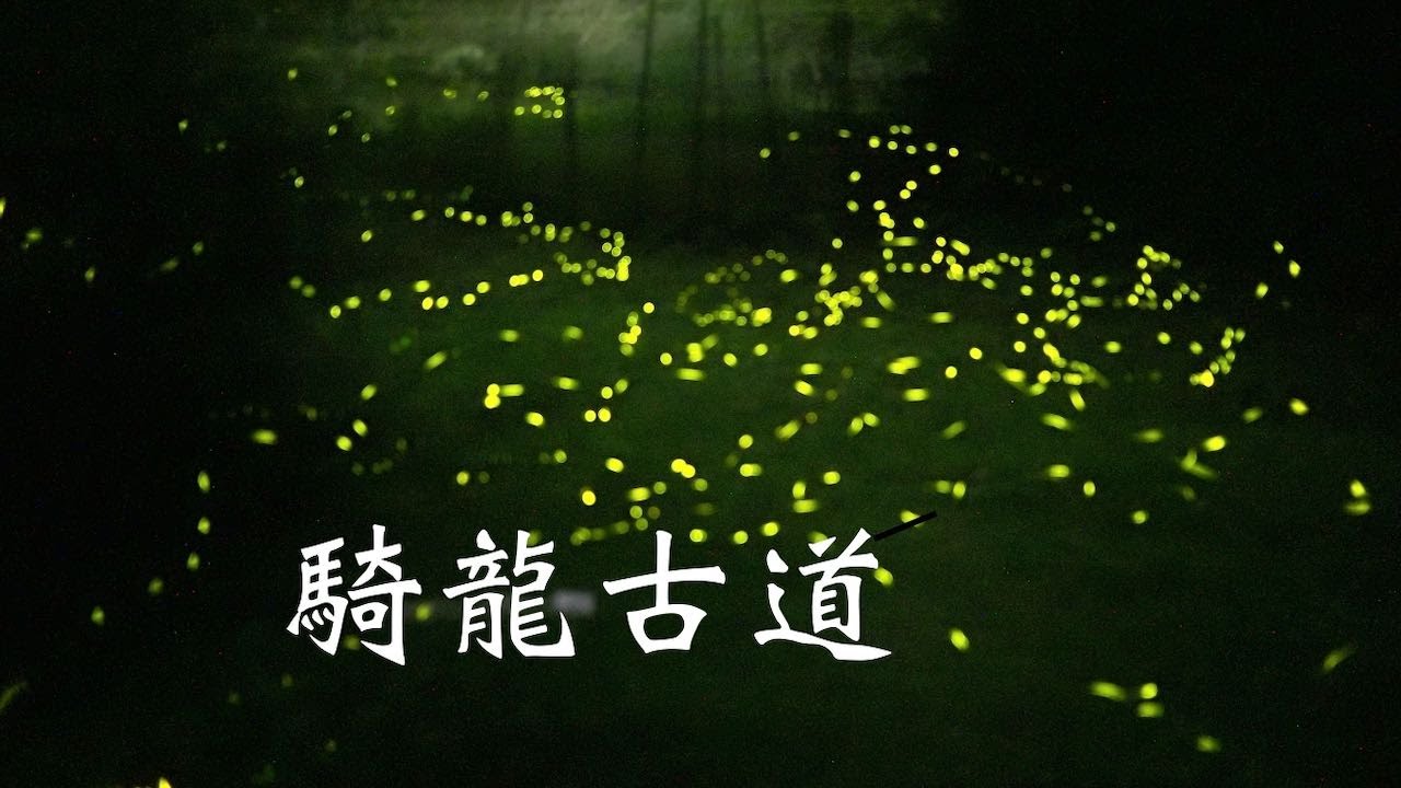 大山背騎龍古道